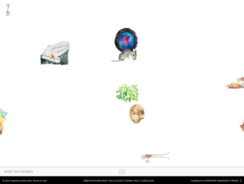 Captura de pantalla de feralatlas.supdigital.org.